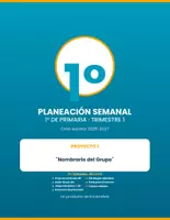 Vista previa - Unidades / Secuencias / Situaciones de Aprendizaje - "Planeación Semanal 1° Primaria NEM — Trimestre 1 - página 1