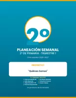 Vista previa - Unidades / Secuencias / Situaciones de Aprendizaje - "Planeación Semanal 2° Primaria NEM — Trimestre 1 - página 1