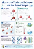 Vorschau - Arbeitsblätter - Lernposter + Arbeitsblatt "Wasserstoffbrückenbindungen und ihre Auswirkungen" + interaktive Lösung & MP3 + Mindmap + Infografik - Deckblatt