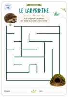 Aperçu - Apprentissages en autonomie - 9 labyrinthes progressifs gratuits – Les animaux de la forêt – Maternelle PS, MS et GS - Page 3