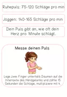 Vorschau - Stundenentwürfe - Tierrätsellauf - Ausdauer - Seite 3