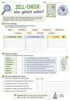 Vorschau - Arbeitsblätter - Biologie Lernspiele Klasse 7-8 | 5 Arbeitsblätter - Seite 1