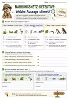 Vorschau - Arbeitsblätter - Biologie Lernspiele Klasse 7-8 | 5 Arbeitsblätter - Seite 2