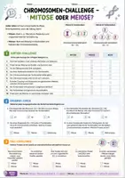 Vorschau - Arbeitsblätter - Biologie Lernspiele Klasse 9-10 | 5 Arbeitsblätter - Seite 1