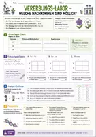 Vorschau - Arbeitsblätter - Biologie Lernspiele Klasse 9-10 | 5 Arbeitsblätter - Seite 2