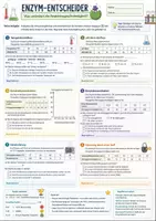 Vorschau - Arbeitsblätter - Biologie Lernspiele Klasse 11–12 | 5 Arbeitsblätter Oberstufe - Seite 1