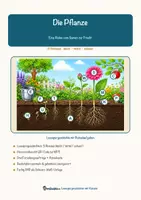 Vorschau - Arbeitsblätter - Die Pflanze – Vom Samen zur Frucht – Lesespurgeschichte mit Rätselaufgaben (Klasse 5) - Seite 1