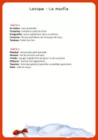 Aperçu - Feuilles d'exercices - Fichier pédagogique - La moufle - Page 3