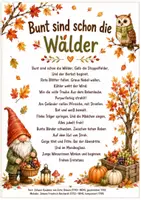 Vorschau - Arbeitsblätter - Unser Herbst-Morgenkreis 🍂 Lieder, Bildkarten, Fingerspiel, Klanggeschichte & Ausmalbilder für die Kita - Seite 3
