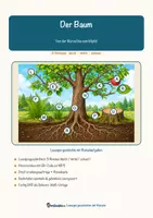 Vorschau - Arbeitsblätter - Der Baum – Lesespurgeschichte mit Rätselaufgaben (Klasse 6) - Seite 1