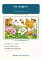 Vorschau - Arbeitsblätter - Die Honigbiene – Lesespurgeschichte mit Rätselaufgaben (Klasse 7) - Seite 1