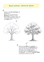 Vorschau - Stundenentwürfe - Einen Baum zeichnen – Schritt für Schritt | Bleistift & Schraffur - Seite 3
