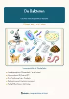 Vorschau - Arbeitsblätter - Die Bakterien – Lesespurgeschichte mit Rätselaufgaben (Klasse 8) - Seite 1