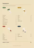 anteprima - Opere didattiche / Libri di testo - Le Verifiche sulle regioni italiane - Pagina 1