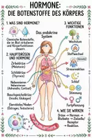 Vorschau - Arbeitsblätter - Lernposter + Arbeitsblätter "Hormone" + Lösung & MP3 + Mindmap + Infografik - Deckblatt