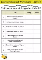 Vorschau - Arbeitsblätter - Bienen : Leseverstehen und Wortschatz - DaZ/DaF • Deutsch • Sachunterricht - Seite 3
