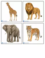 Προεπισκόπηση - Flashcards - Ζωα Της Ζουγκλας - Εξώφυλλο