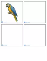 Προεπισκόπηση - Flashcards - Ζωα Της Ζουγκλας - Σελίδα 3
