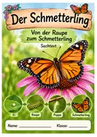 Vorschau - Arbeitsblätter - Materialpaket: Sachtexte Tiere - Schmetterling, Frosch, Maulwurf, Pinguin, Fledermaus | 5 Lesetexte mit Fragen & Lösungen | Klasse 3–4 - Seite 1