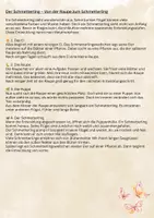 Vorschau - Arbeitsblätter - Materialpaket: Sachtexte Tiere - Schmetterling, Frosch, Maulwurf, Pinguin, Fledermaus | 5 Lesetexte mit Fragen & Lösungen | Klasse 3–4 - Seite 2