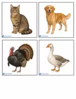 Προεπισκόπηση - Flashcards - Ζωα Της Φαρμας / farm animals - Εξώφυλλο
