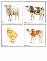 Προεπισκόπηση - Flashcards - Ζωα Της Φαρμας / farm animals - Σελίδα 3