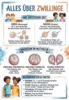 Vorschau - Arbeitsblätter - Lernposter + Arbeitsblätter zum Thema "Menschliche Zwillinge" + Lösung & MP3 + Infografik - Deckblatt