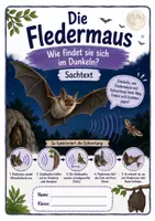 Vorschau - Arbeitsblätter - Sachtext - die Fledermaus: Wie findet sie sich im Dunkeln? für Klasse 3 und 4 - Deckblatt