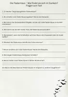 Vorschau - Arbeitsblätter - Sachtext - die Fledermaus: Wie findet sie sich im Dunkeln? für Klasse 3 und 4 - Seite 2