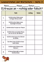 Vorschau - Arbeitsblätter - Eichhörnchen : Leseverstehen und Wortschatz - DaZ/DaF • Deutsch • Sachunterricht - Seite 3