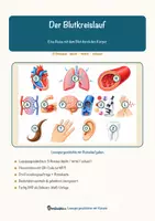 Vorschau - Arbeitsblätter - Der Blutkreislauf – Lesespurgeschichte mit Rätselaufgaben (Klasse 7) - Seite 1