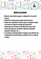 Vista previa - Tarjetas / Manipulativos - Radiografiando animales - página 1