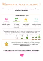 Aperçu - Outils du professeur - Carnet de réussites_Vierge - Page 1