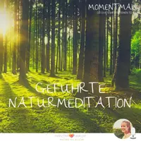 Vorschau - Audio-Dateien - Geführte Naturmeditation | 20 Minuten Tiefenentspannung in Verbindung mit unserer Erde - Deckblatt