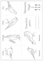 Vorschau - Mal- und Bastelvorlagen - Mini-Faltbuch Heimische Vögel 3 - Bastelvorlage für den Sachunterricht - Seite 3