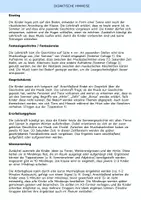 Vorschau - Arbeitsblätter - Vivaldis Sommer: Kreatives Schreiben, Mindmaps und Hörcollagen - Seite 2