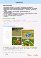 Vorschau - Arbeitsblätter - Eine Sommerwiese zum Klingen bringen! - Seite 1