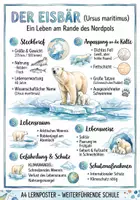 Vorschau - Arbeitsblätter - Lernposter + Arbeitsblätter zum Thema "Eisbär" (Lückentext, Hörverstehen) + Lösung & MP3 + Mindmap + Infografik - Deckblatt