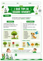 anteprima - Esercizi - Esseri viventi e non viventi - Pagina 2