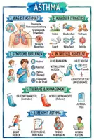 Vorschau - Arbeitsblätter - Lernposter + AB mit Fragen zum Thema "Asthma" + Lösungsblatt + Mindmap + Infografik - Deckblatt