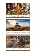 Vorschau - Text - Schlaumeier-Heftchen: Bauernhof (Lesen auf Satzebene, Silbenschrift) - Seite 3