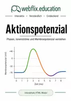 Vorschau - Arbeitsblätter - Aktionspotenzial – interaktives HTML-Modul - Deckblatt