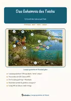 Vorschau - Arbeitsblätter - Das Geheimnis des Teichs – Lesespurgeschichte mit Rätselaufgaben (Klasse 5) - Seite 1