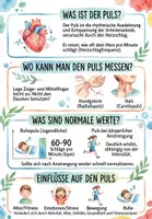 Vorschau - Arbeitsblätter - Lernplakat + Arbeitsblatt "Puls" + Onlineübung & MP3 + Mindmap + Infografik - Deckblatt