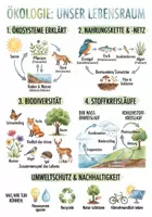 Vorschau - Arbeitsblätter - Lernposter + Arbeitsblätter zum Thema "Ökologie" + Lösung & MP3 + Mindmap + Infografik - Deckblatt