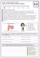 Vorschau - Stundenentwürfe - Molekulargenetik: Mitose und Meiose (Biologie Oberstufe) - Seite 1
