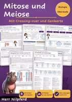 Vorschau - Stundenentwürfe - Molekulargenetik: Mitose und Meiose (Biologie Oberstufe) - Deckblatt