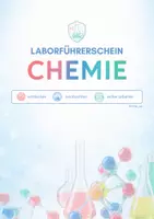 Vorschau - Stundenentwürfe - Chemie Laborführerschein – Arbeitsheft mit Lösungen - Seite 3