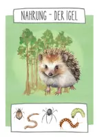 Vorschau - Präsentationen/Tafelbilder - Waldtiere und ihre Nahrung - Tafelkarten - Seite 1