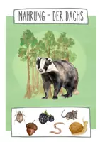 Vorschau - Präsentationen/Tafelbilder - Waldtiere und ihre Nahrung - Tafelkarten - Seite 2